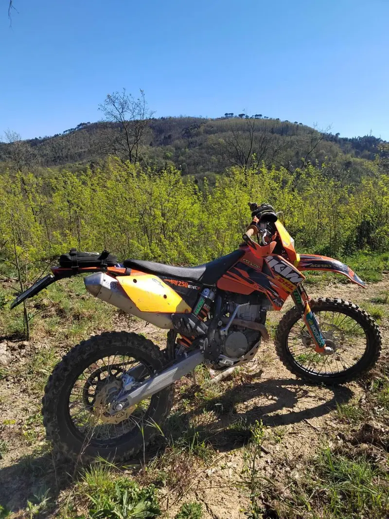 KTM 250 EXC-F (2007) (3)