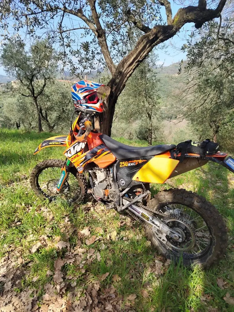 KTM 250 EXC-F (2007) (6)