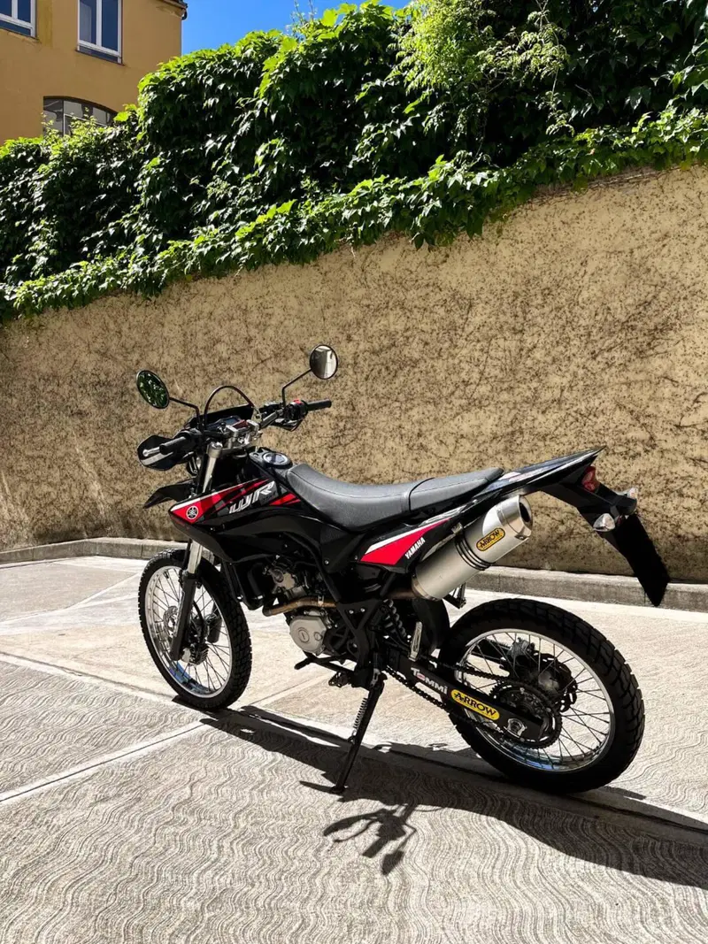 Yamaha WR 125 R (2009 - 12) (11)