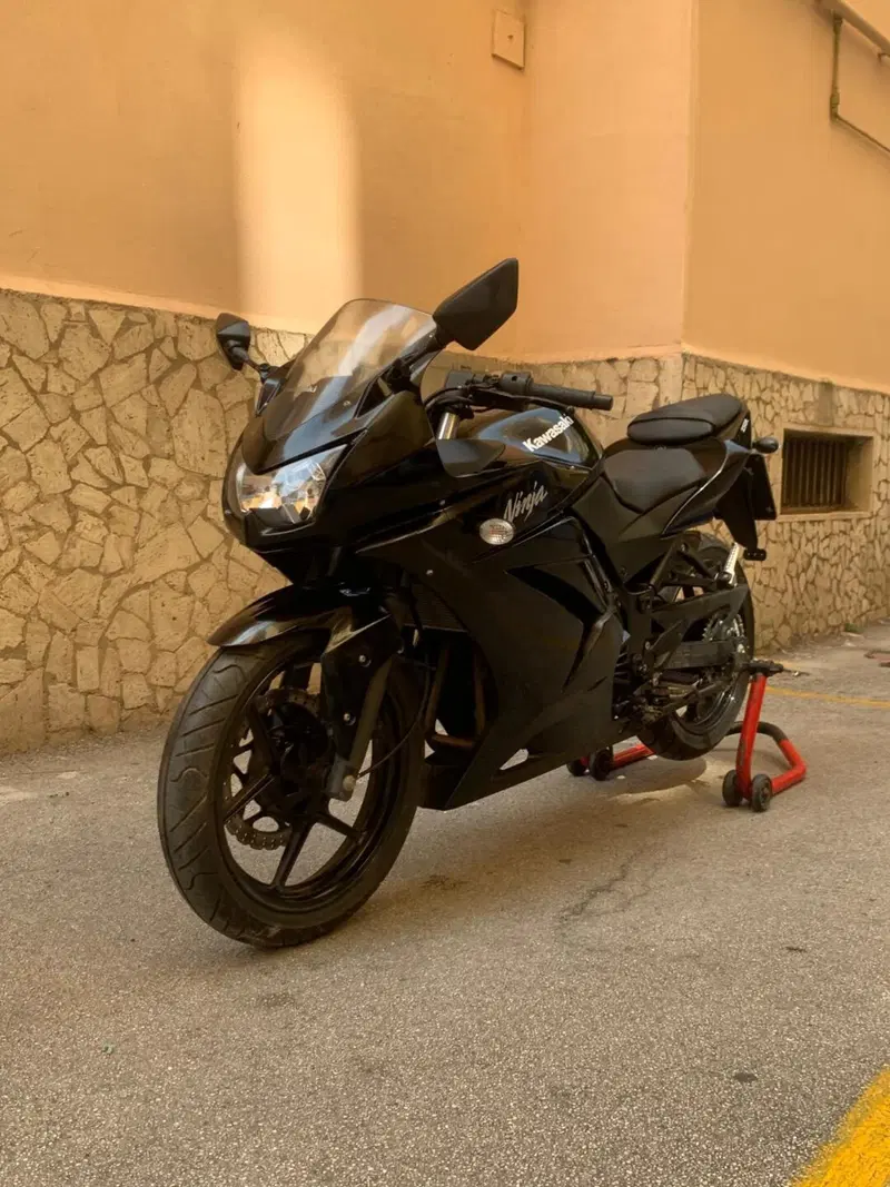 Kawasaki Ninja 250 R (2007 - 13)
