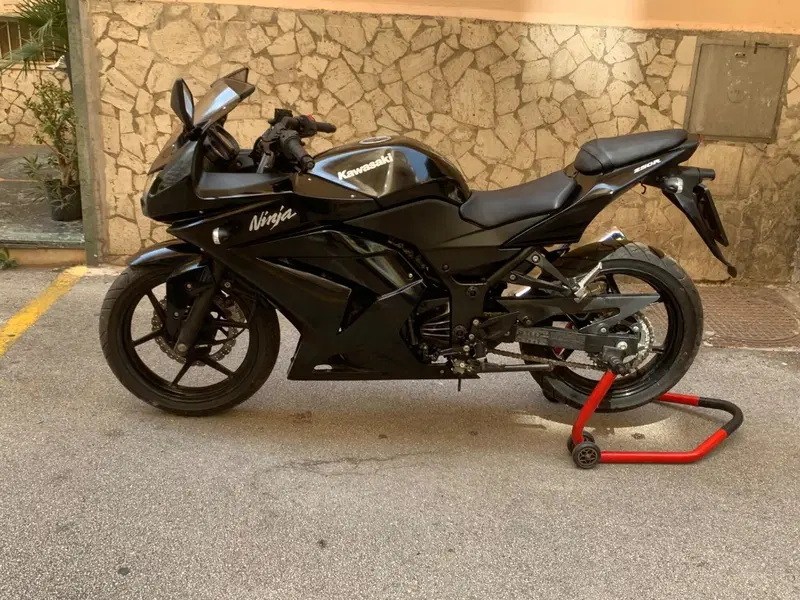 Kawasaki Ninja 250 R (2007 - 13) (2)