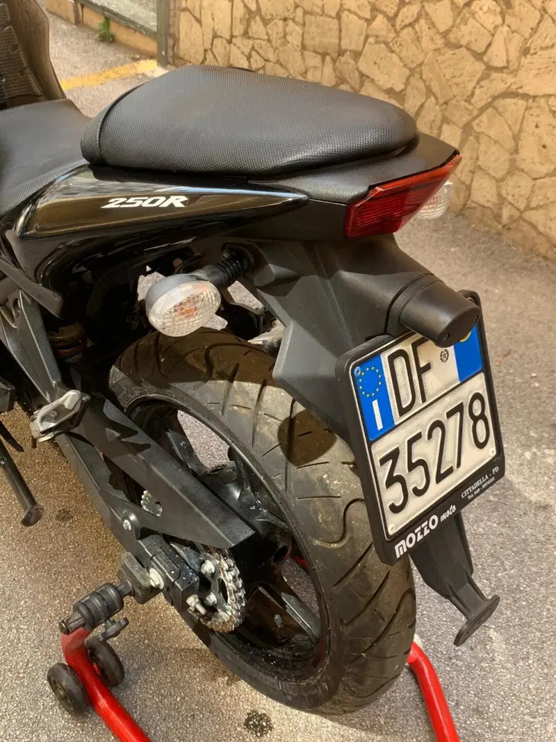Kawasaki Ninja 250 R (2007 - 13) (3)