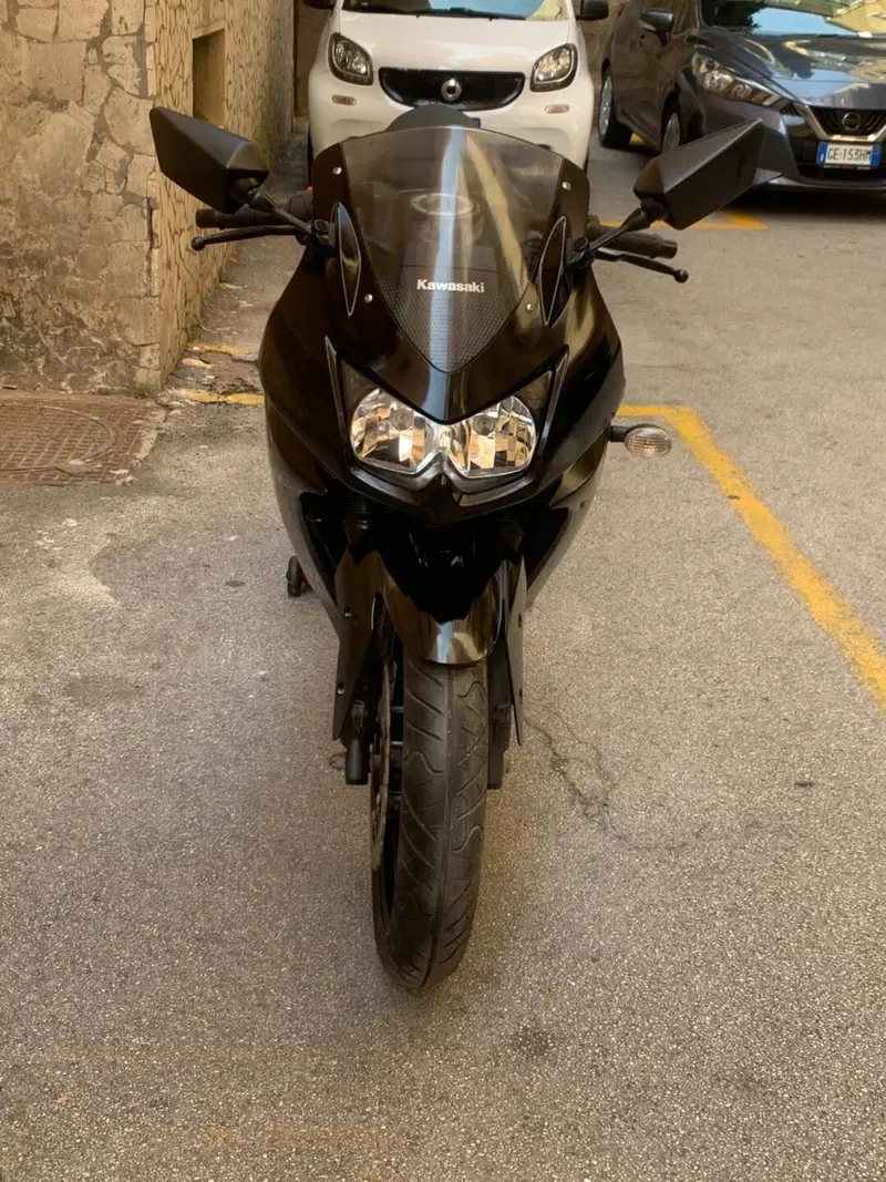 Kawasaki Ninja 250 R (2007 - 13) (5)