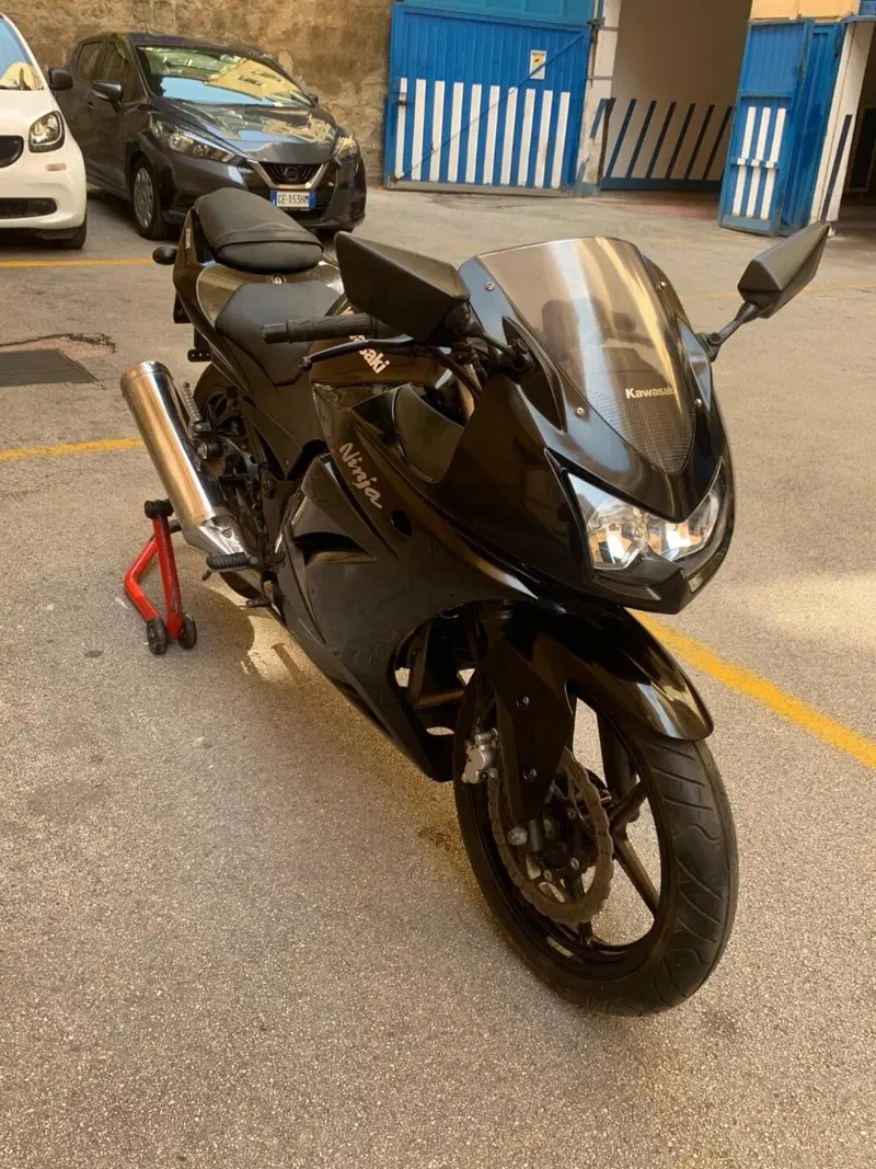 Kawasaki Ninja 250 R (2007 - 13) (6)