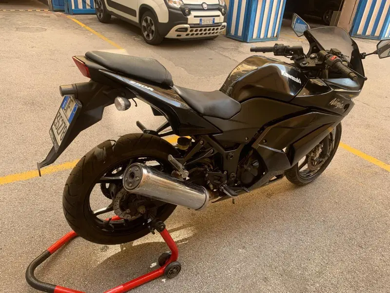 Kawasaki Ninja 250 R (2007 - 13) (7)