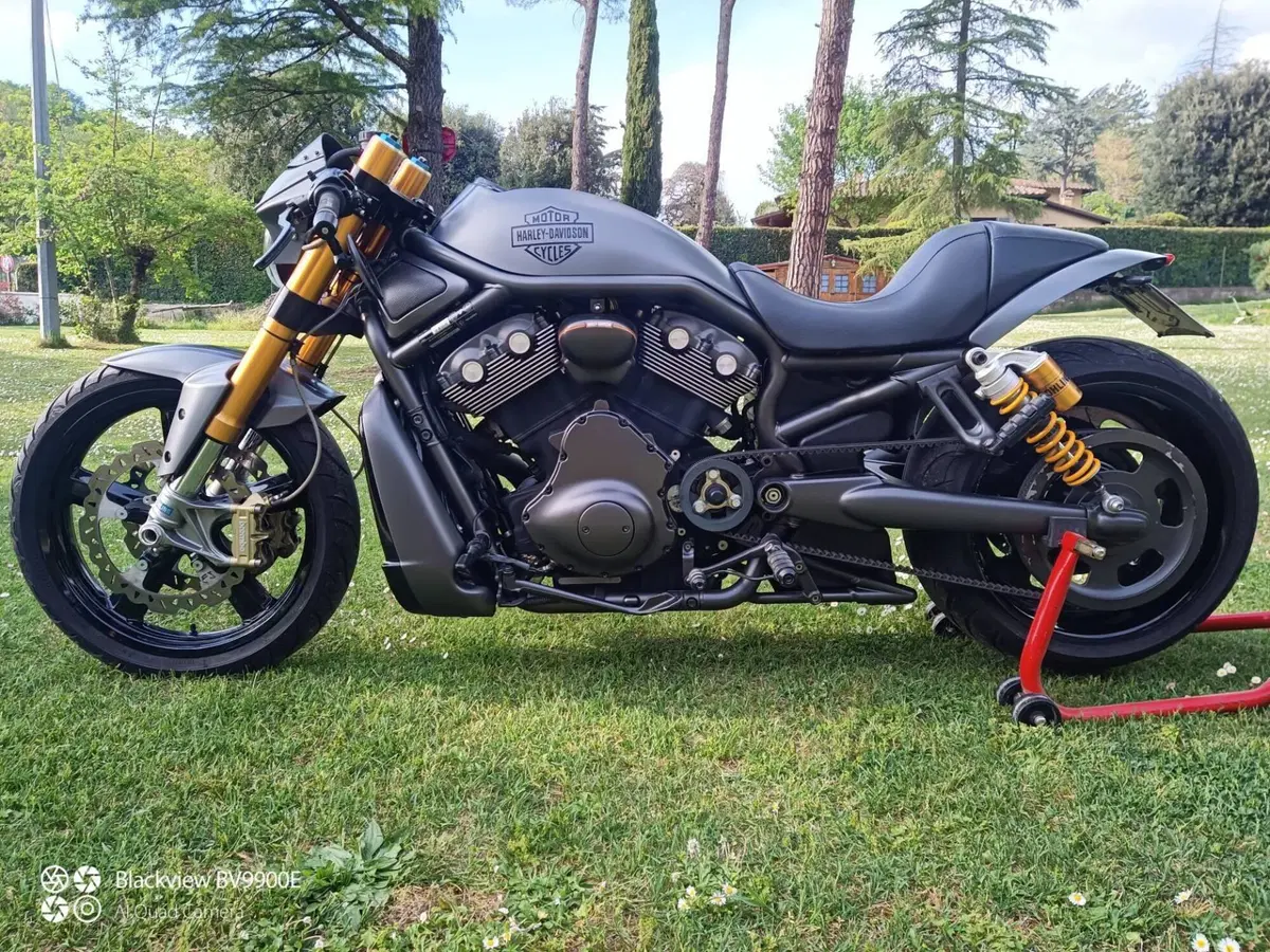 Harley-Davidson 1130 V-Rod (2002 - 05) - VRSCA (3)