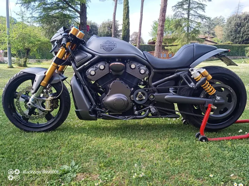 Harley-Davidson 1130 V-Rod (2002 - 05) - VRSCA (3)