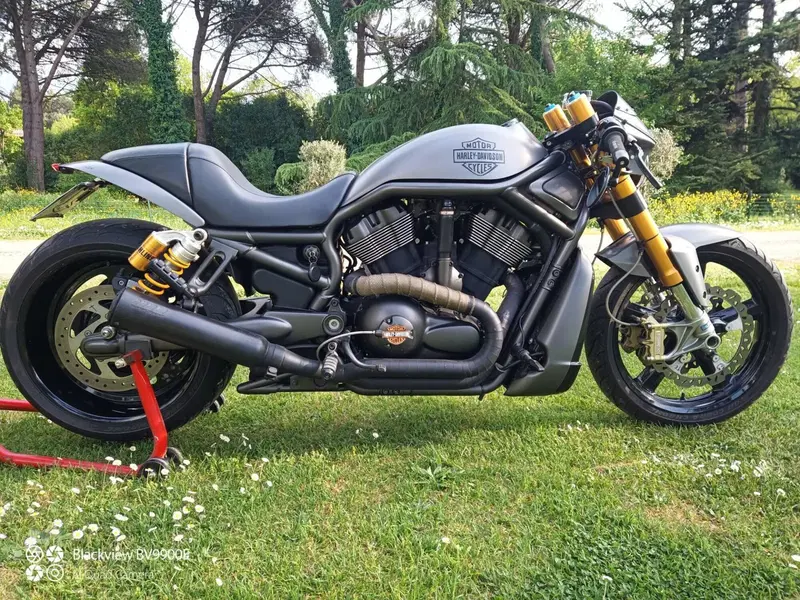 Harley-Davidson 1130 V-Rod (2002 - 05) - VRSCA (5)
