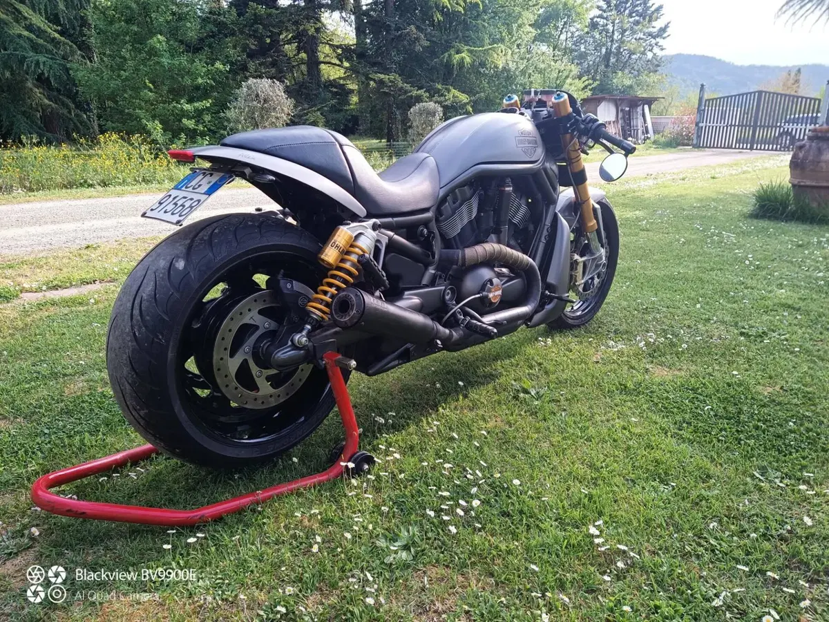 Harley-Davidson 1130 V-Rod (2002 - 05) - VRSCA (6)