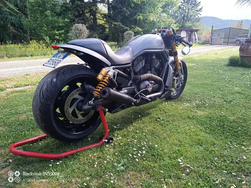 Harley-Davidson 1130 V-Rod (2002 - 05) - VRSCA (6)