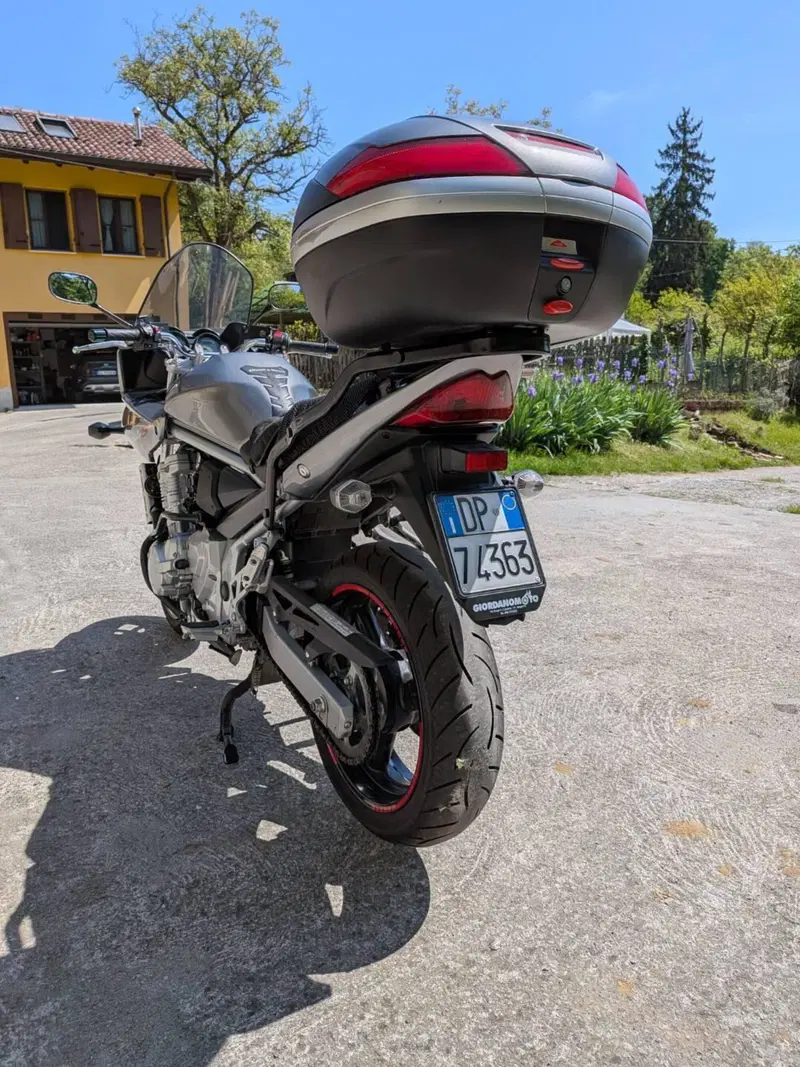 Suzuki GSF 650 Bandit S (2006 - 12) (7)