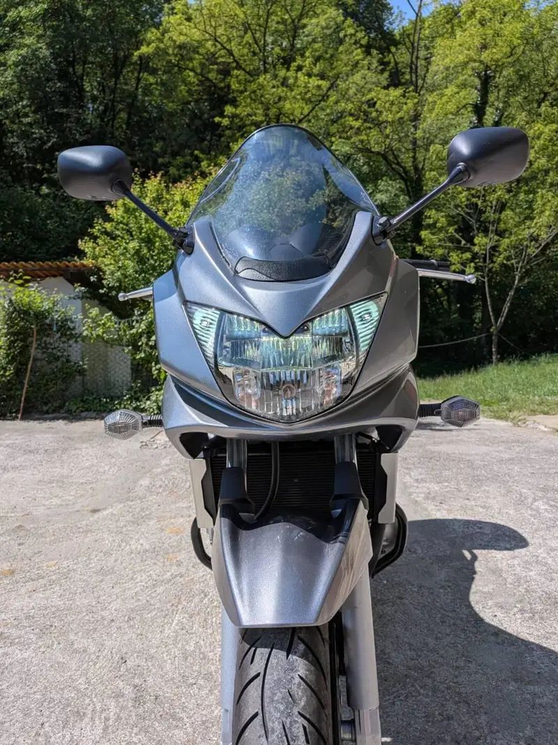Suzuki GSF 650 Bandit S (2006 - 12) (13)