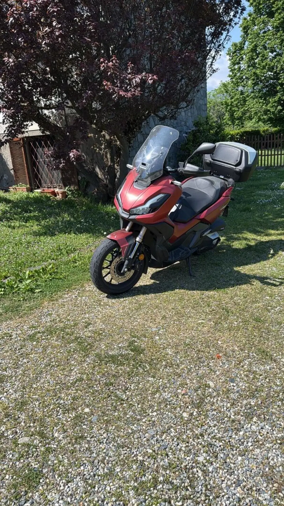 Honda ADV 350 (2022 - 24) (4)