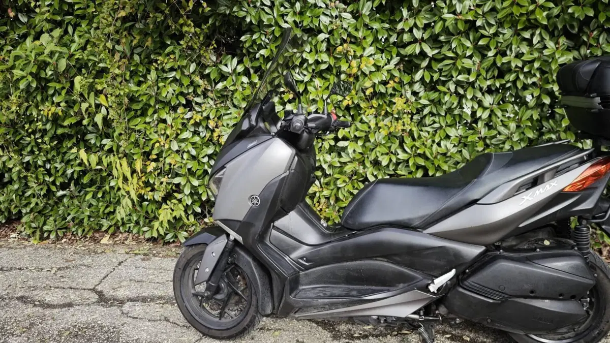 Yamaha X-Max 300 ABS (2017 - 20) (8)