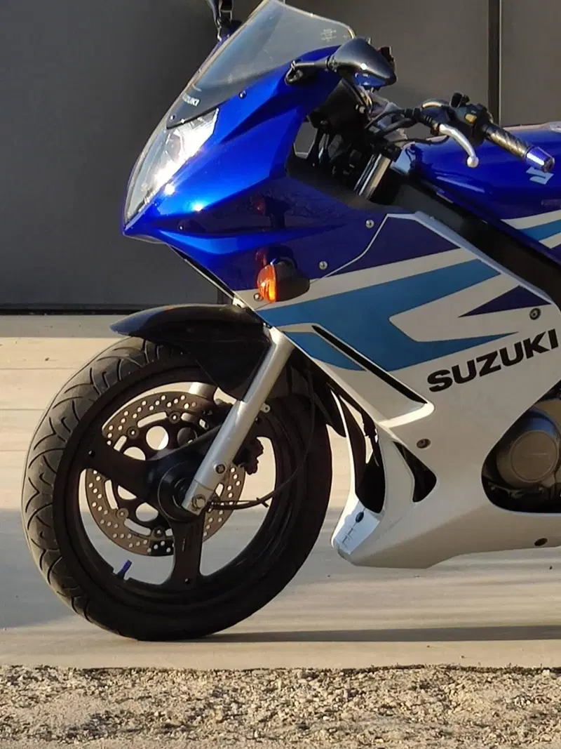 Suzuki GS 500 F (2004 - 06)