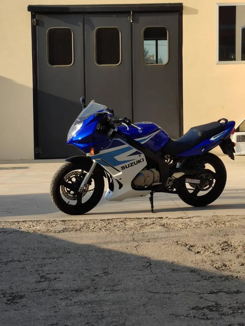 Suzuki GS 500 F (2004 - 06) (2)