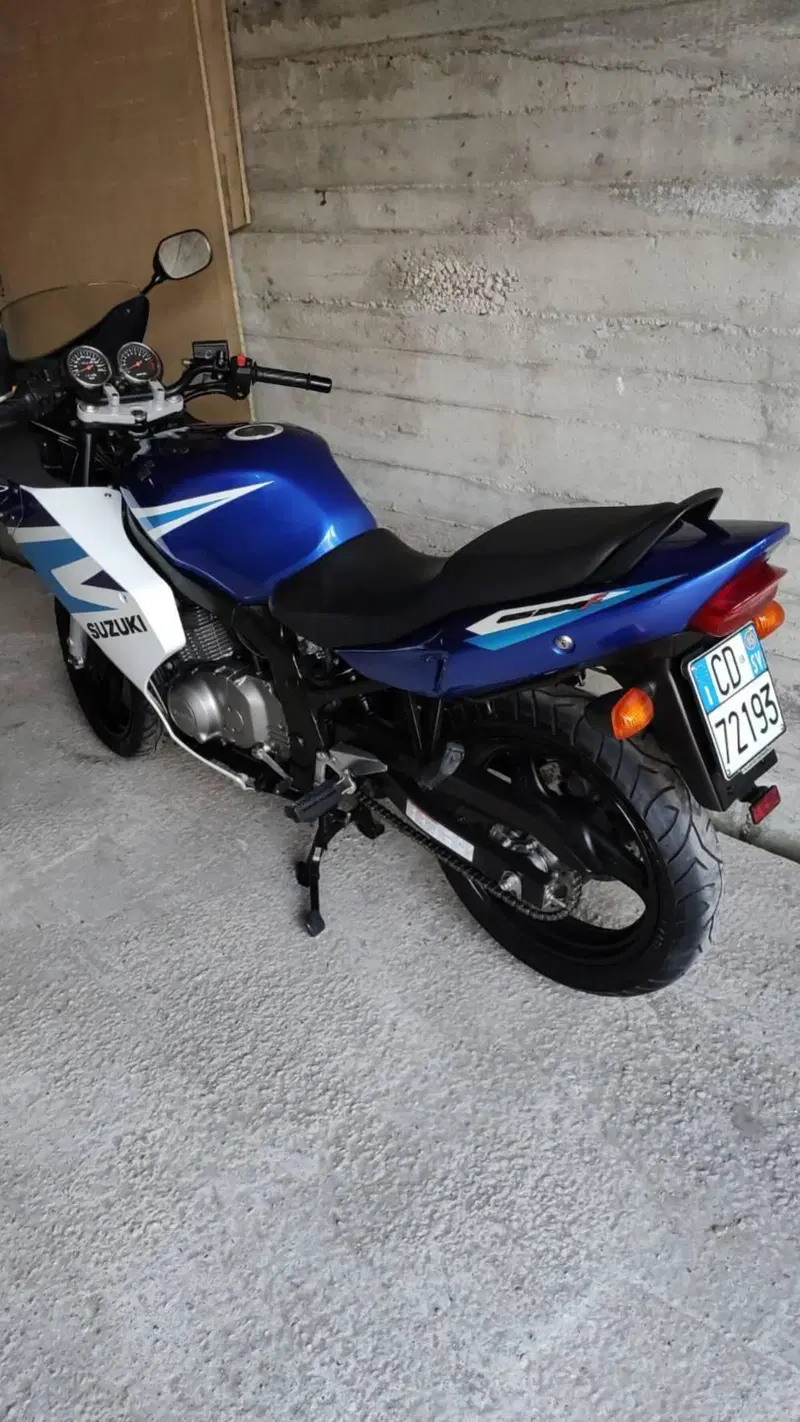 Suzuki GS 500 F (2004 - 06) (4)