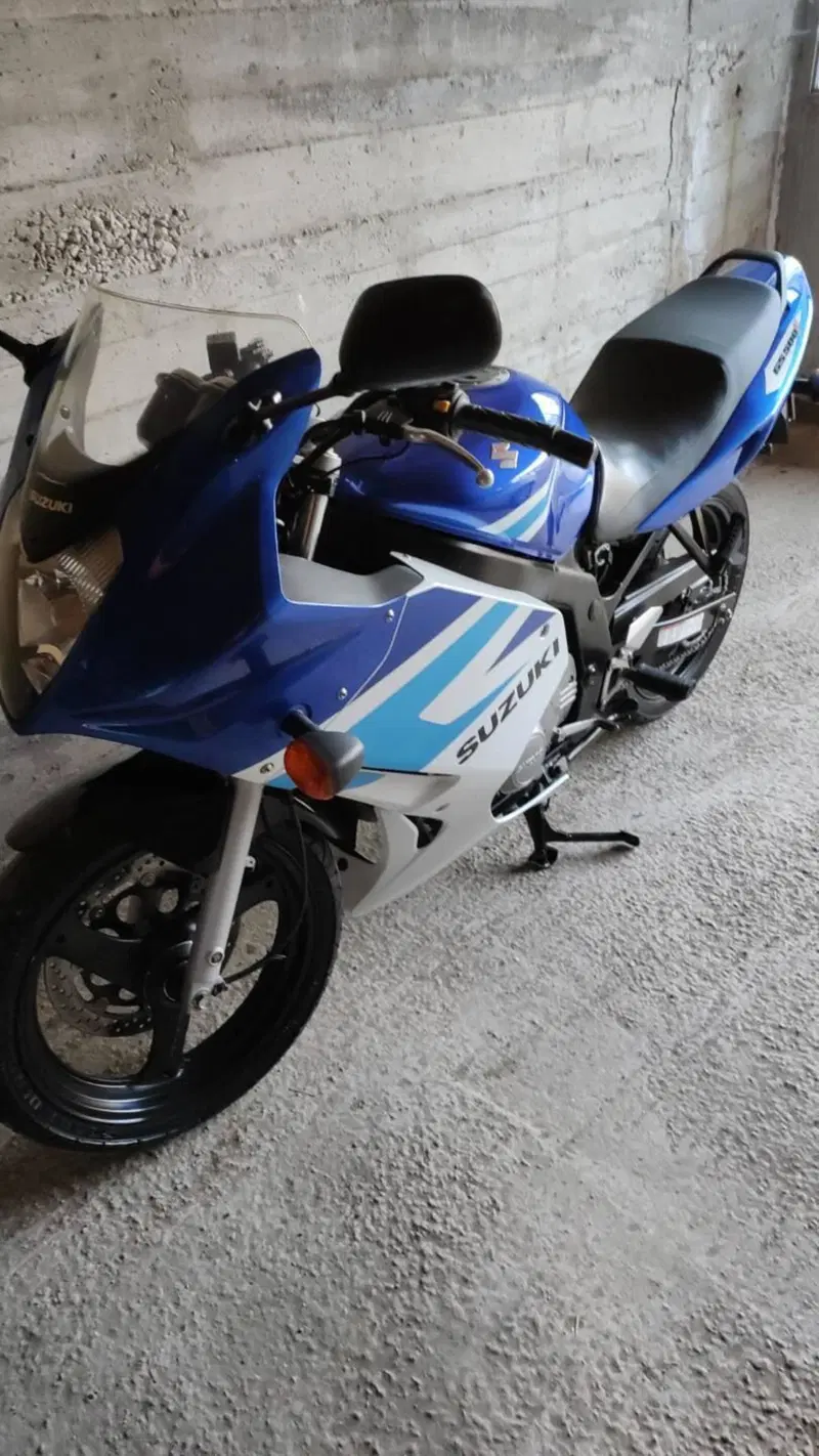 Suzuki GS 500 F (2004 - 06) (5)