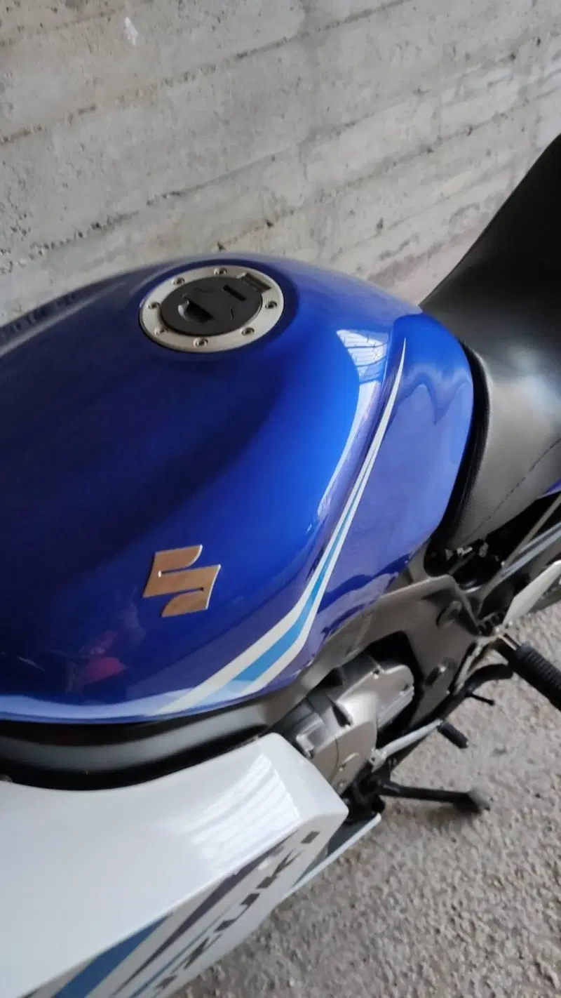 Suzuki GS 500 F (2004 - 06) (6)