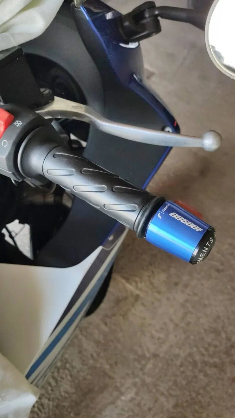 Suzuki GS 500 F (2004 - 06) (9)