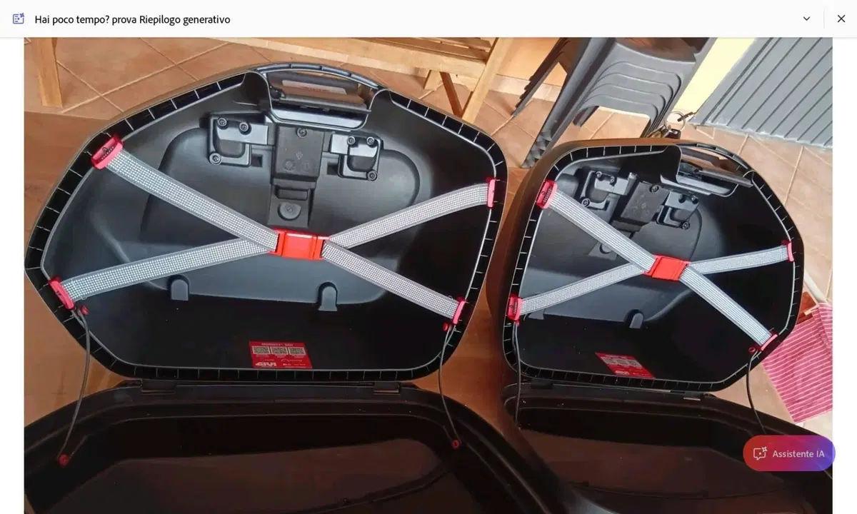 Coppia di borse laterali per moto Givi (3)