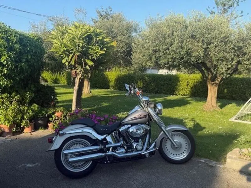 Harley-Davidson 1584 Fat Boy (2006 - 07) - FLSTF (3)