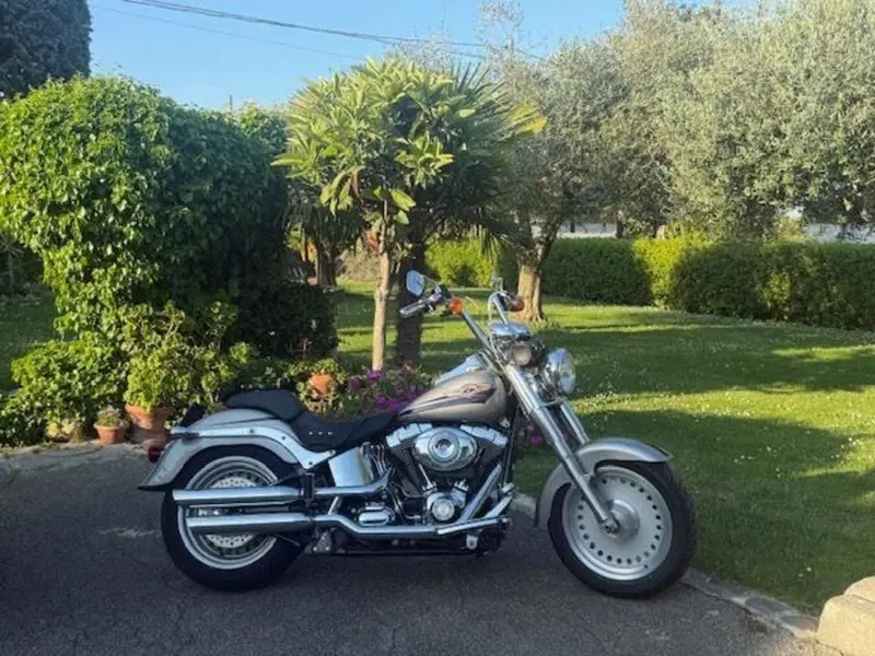 Harley-Davidson 1584 Fat Boy (2006 - 07) - FLSTF (4)