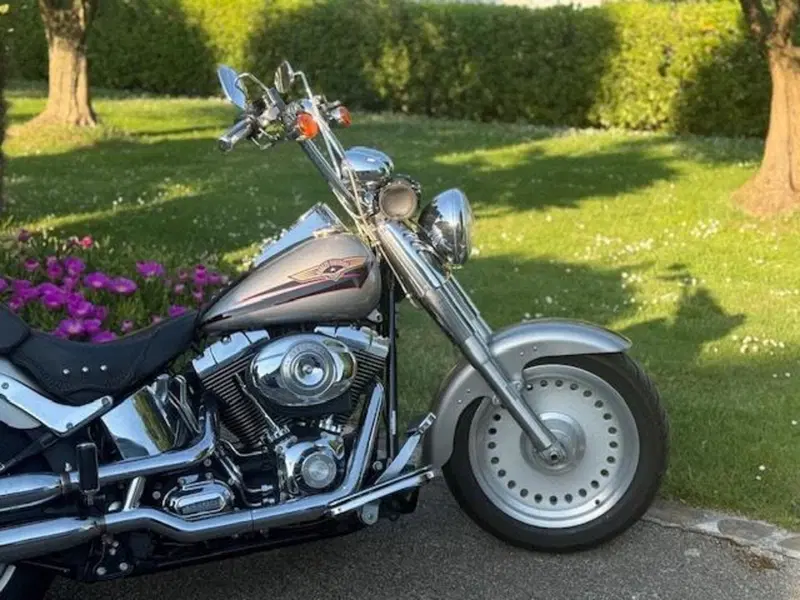 Harley-Davidson 1584 Fat Boy (2006 - 07) - FLSTF (5)