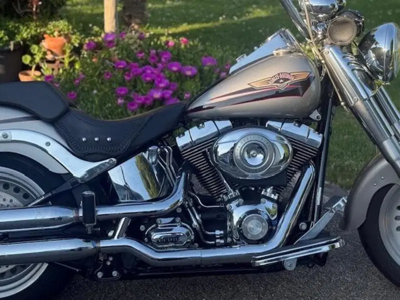Harley-Davidson 1584 Fat Boy (2006 - 07) - FLSTF (6)