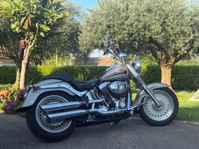 Harley-Davidson 1584 Fat Boy (2006 - 07) - FLSTF usata