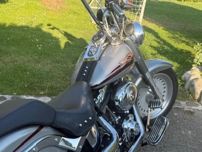 Harley-Davidson 1584 Fat Boy (2006 - 07) - FLSTF (9)