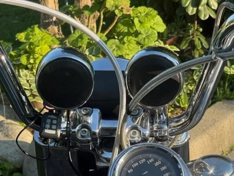 Harley-Davidson 1584 Fat Boy (2006 - 07) - FLSTF (12)