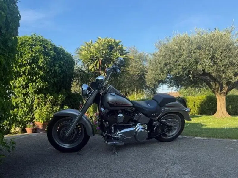 Harley-Davidson 1584 Fat Boy (2006 - 07) - FLSTF (13)