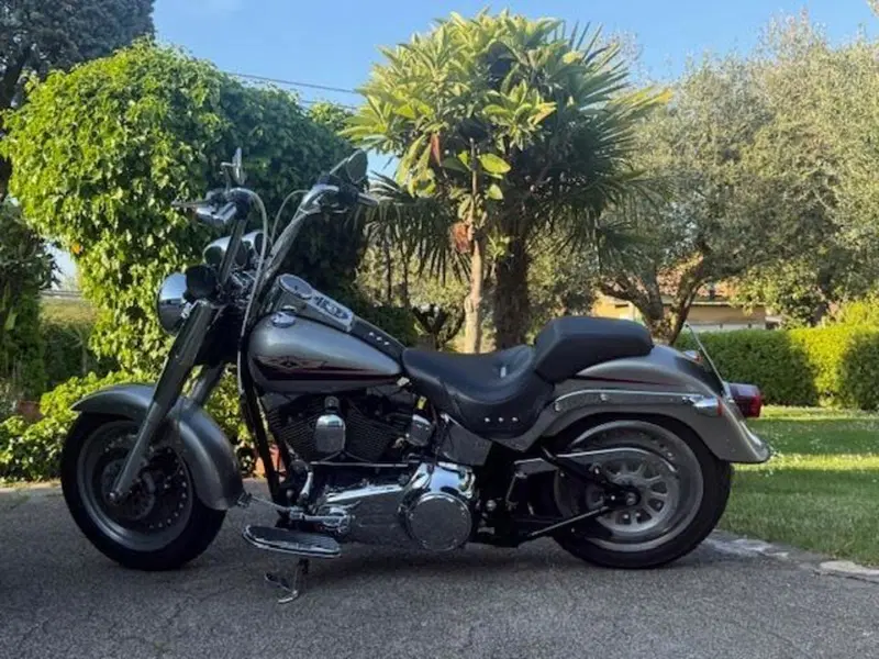 Harley-Davidson 1584 Fat Boy (2006 - 07) - FLSTF (14)