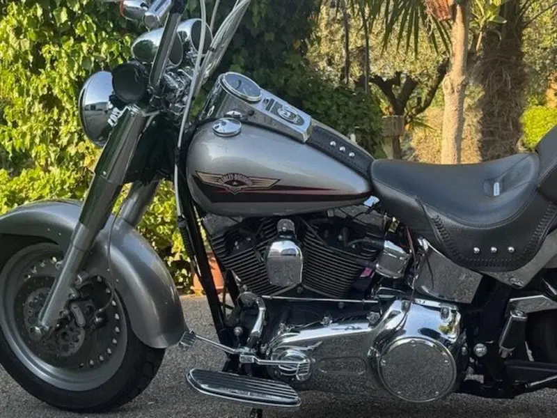 Harley-Davidson 1584 Fat Boy (2006 - 07) - FLSTF (15)
