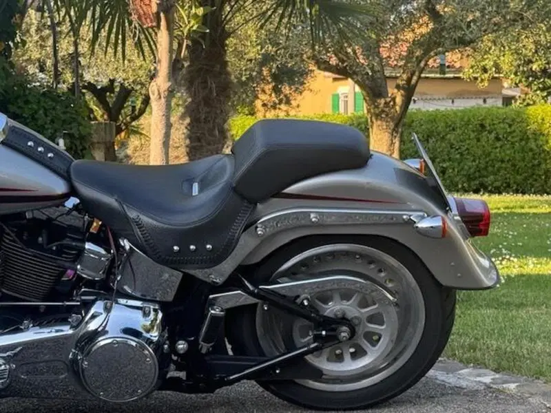 Harley-Davidson 1584 Fat Boy (2006 - 07) - FLSTF (16)