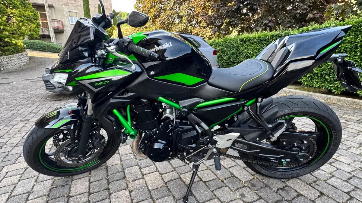 Kawasaki Z 650 Performance (2021 - 24)