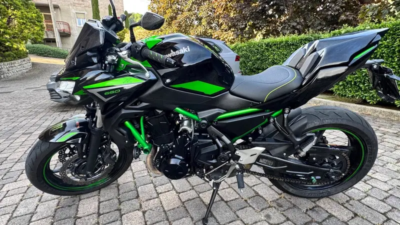 Kawasaki Z 650 Performance (2021 - 24)