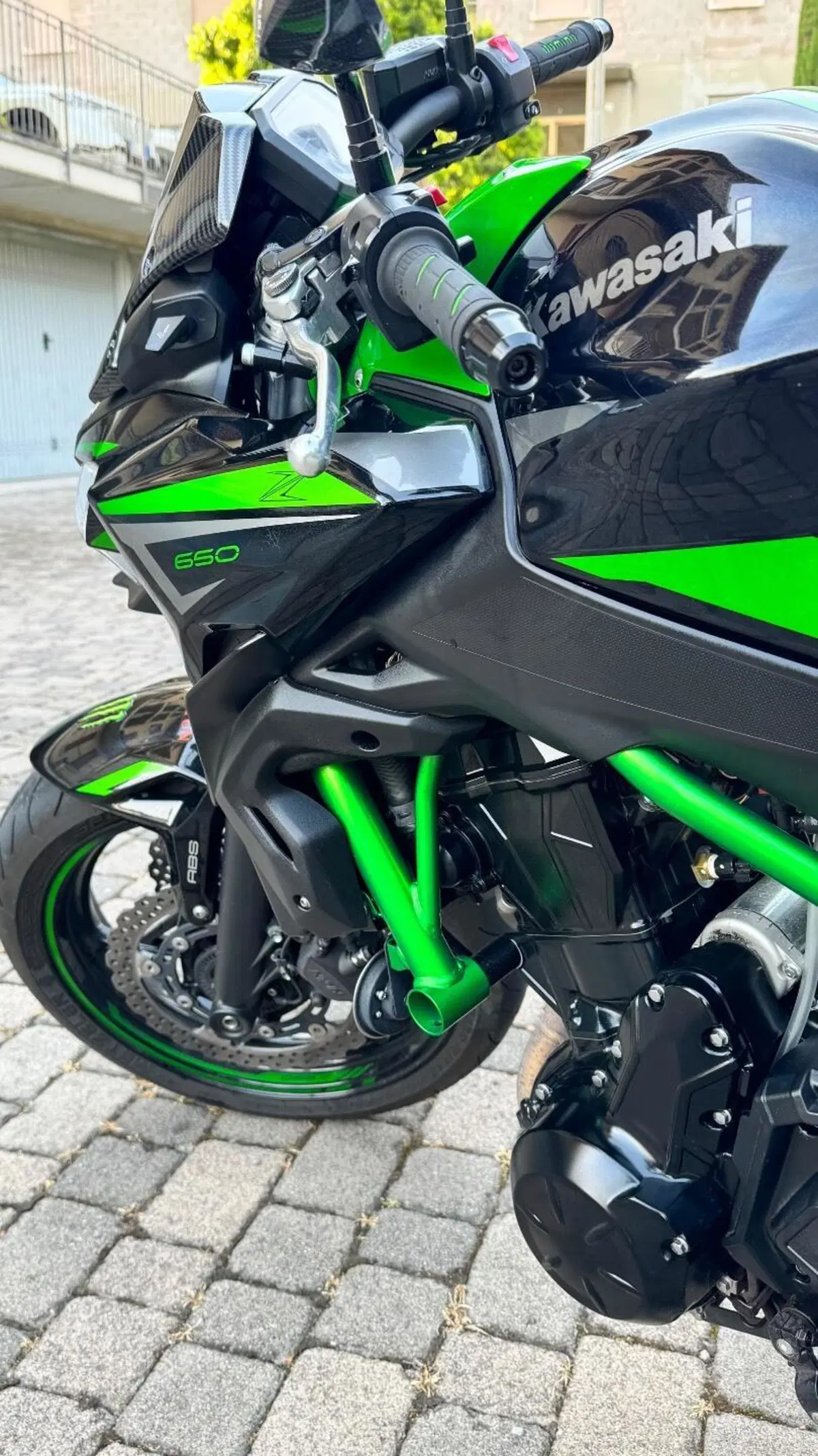 Kawasaki Z 650 Performance (2021 - 24) (2)