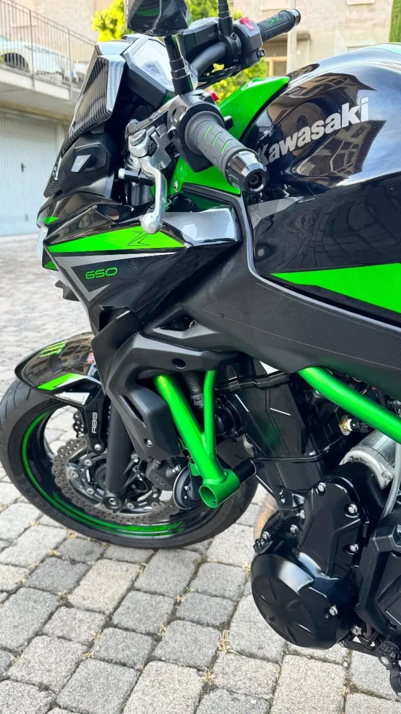 Kawasaki Z 650 Performance (2021 - 24) (2)