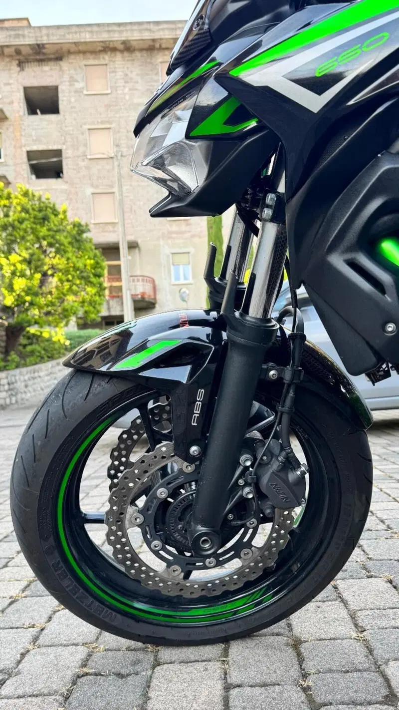 Kawasaki Z 650 Performance (2021 - 24) (3)