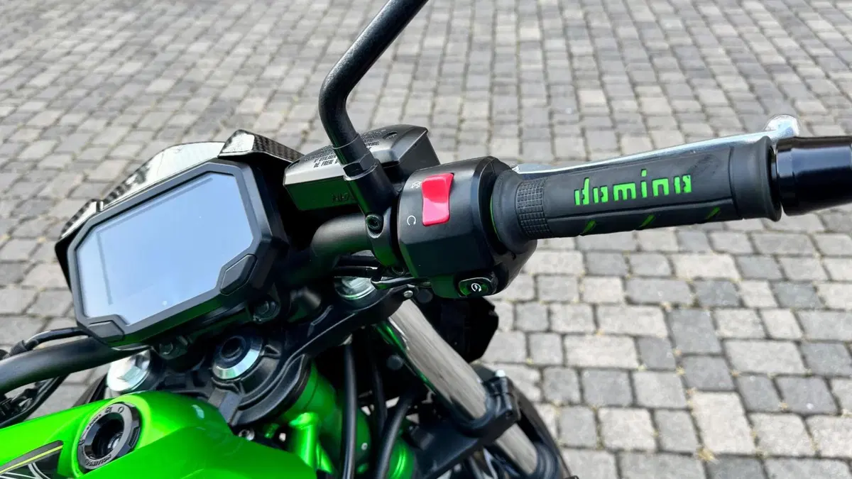 Kawasaki Z 650 Performance (2021 - 24) (4)