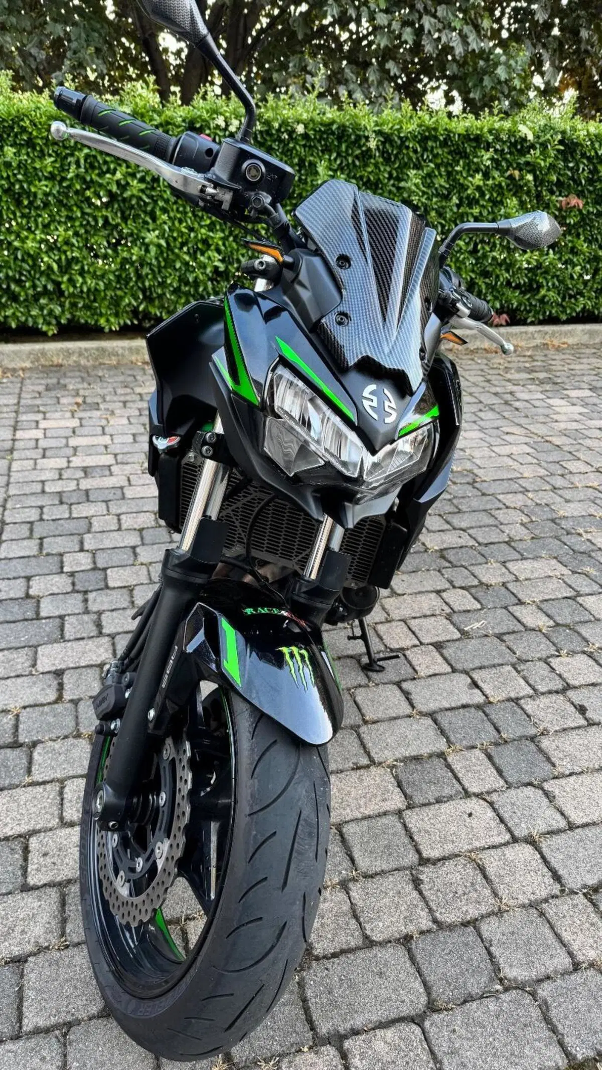 Kawasaki Z 650 Performance (2021 - 24) (5)