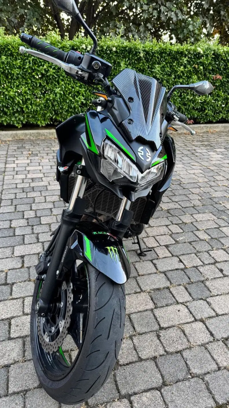 Kawasaki Z 650 Performance (2021 - 24) (5)