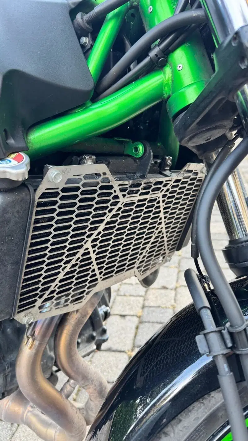 Kawasaki Z 650 Performance (2021 - 24) (6)