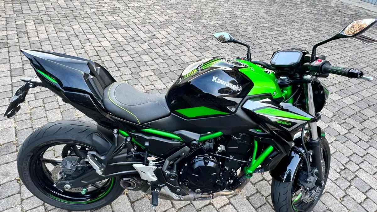 Kawasaki Z 650 Performance (2021 - 24) (7)