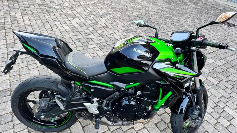 Kawasaki Z 650 Performance (2021 - 24) (7)