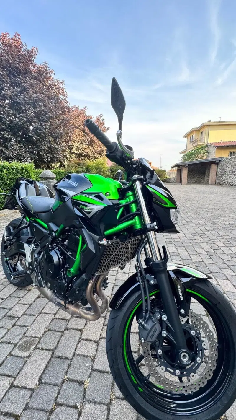 Kawasaki Z 650 Performance (2021 - 24) (8)