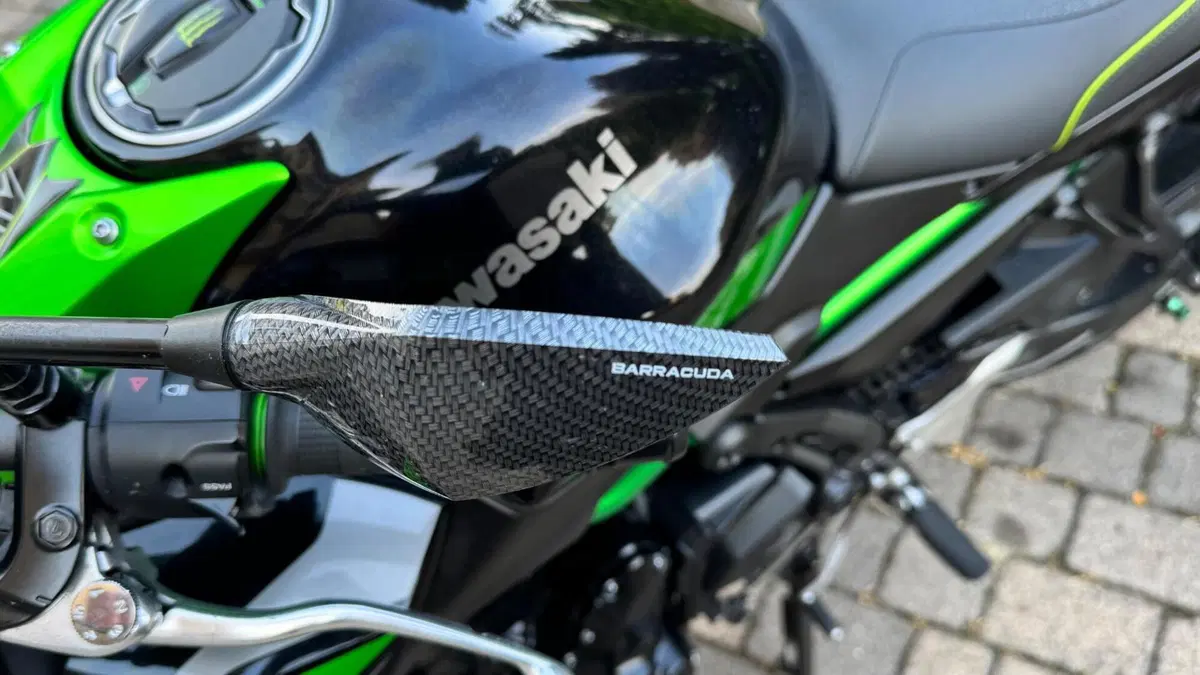 Kawasaki Z 650 Performance (2021 - 24) (11)