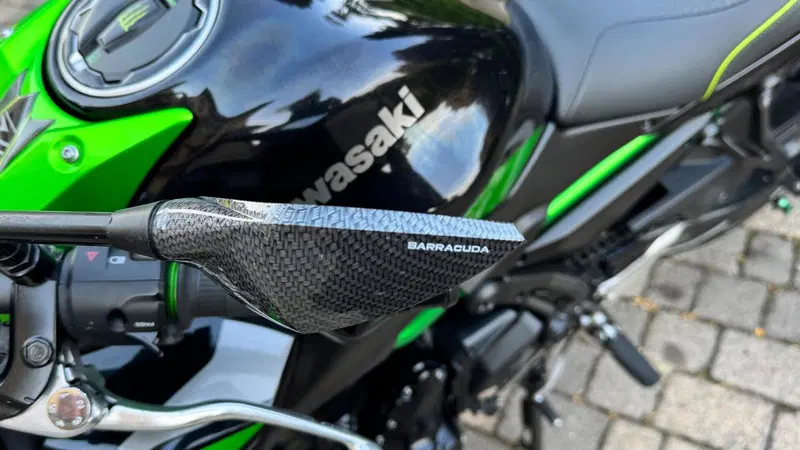 Kawasaki Z 650 Performance (2021 - 24) (11)